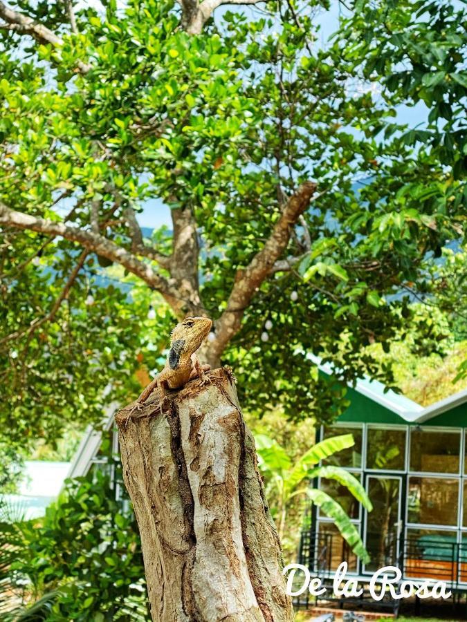 Homestay De la Rosa - Côn Đảo Chi Khu Co Ong Exterior foto